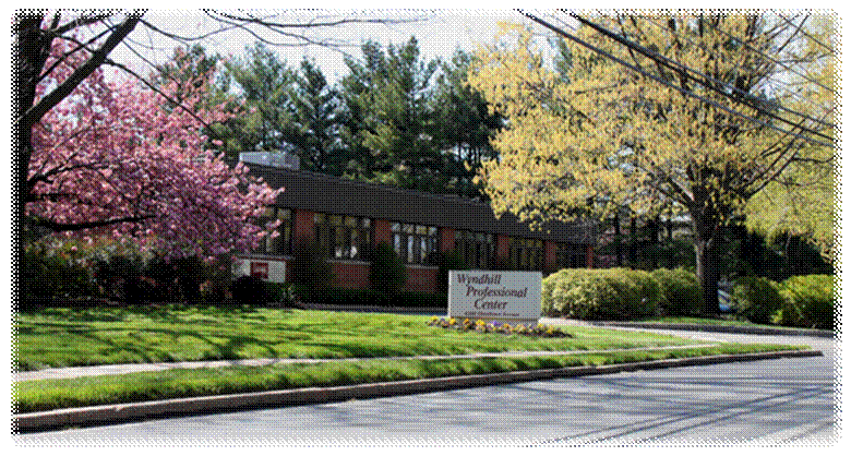 Flourtown Avenue View.jpg